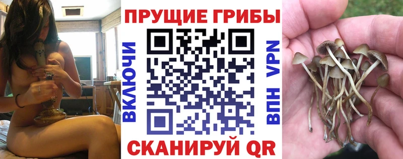 цены наркотик  Подпорожье  Галлюциногенные грибы MAGIC MUSHROOMS 
